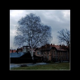 Auschwitz - foto di Antonio Manno